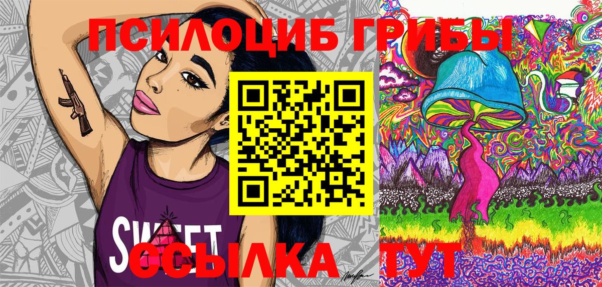 Галлюциногенные грибы Psilocybe Бирск